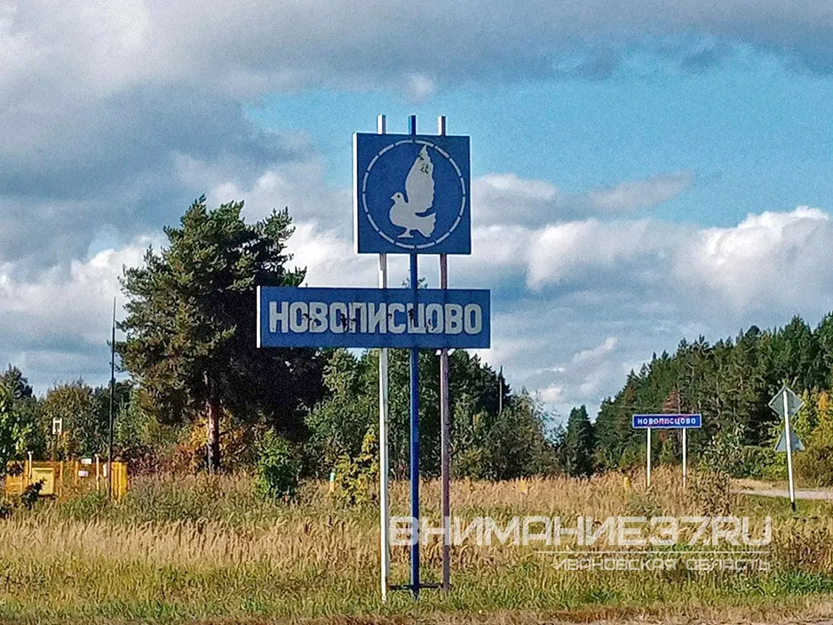 Пьяный водитель лишился машины за наезд в Новописцове