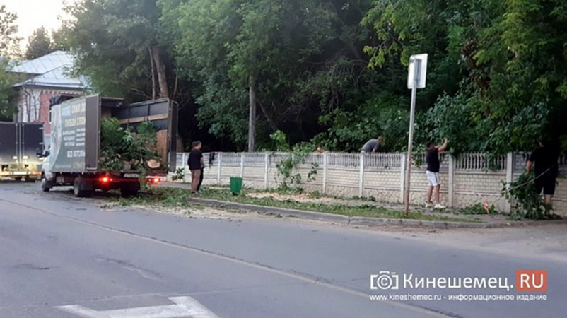 В Кинешме расчистили заросли, угрожавшие пешеходам