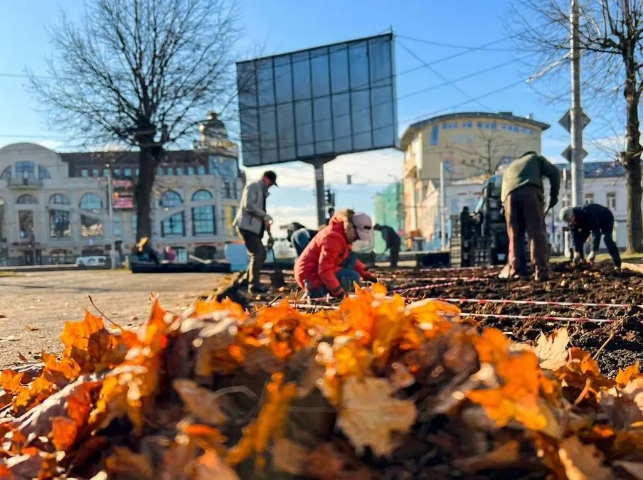 Иваново готовит 10 соток тюльпанов к маю