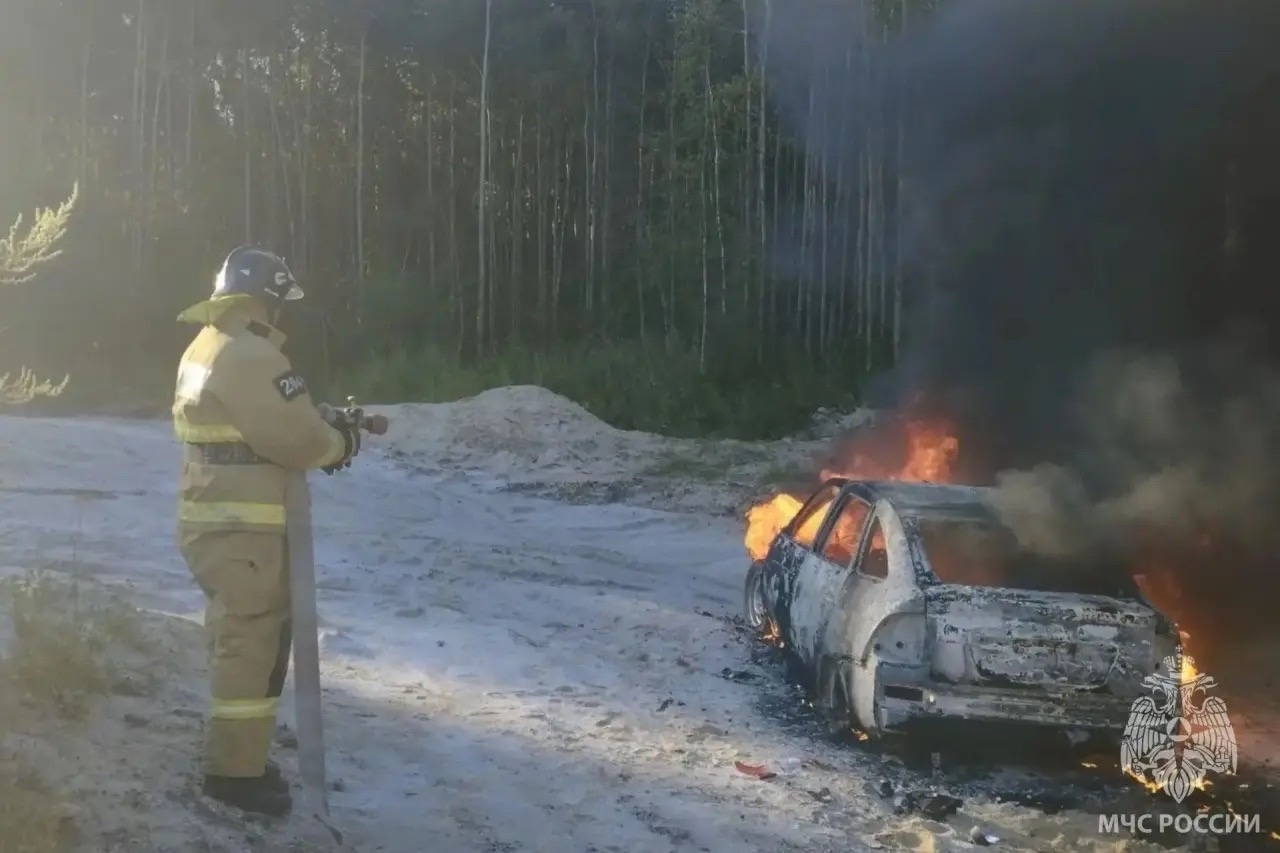 В Пестяковском районе сгорел автомобиль ВАЗ