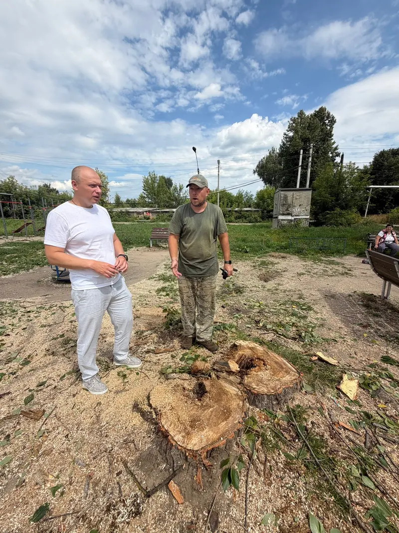 В Новоталицах Ивановской области сносят аварийные деревья  — фото 2 из 3