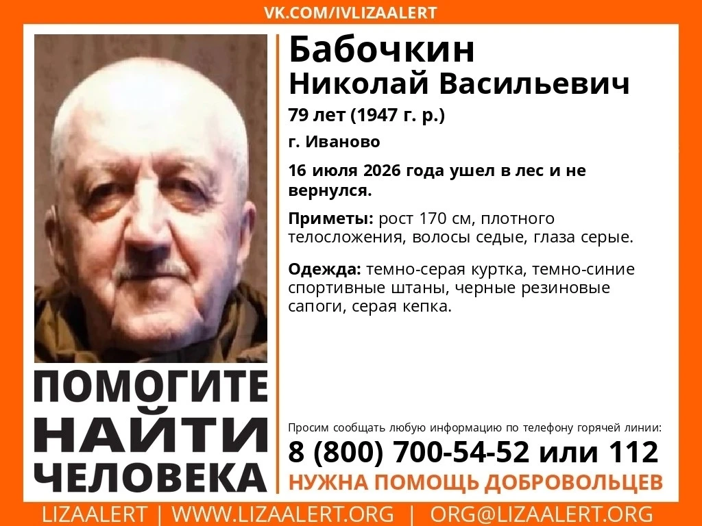 В лесах Ивановской области потерялся 79-летний грибник