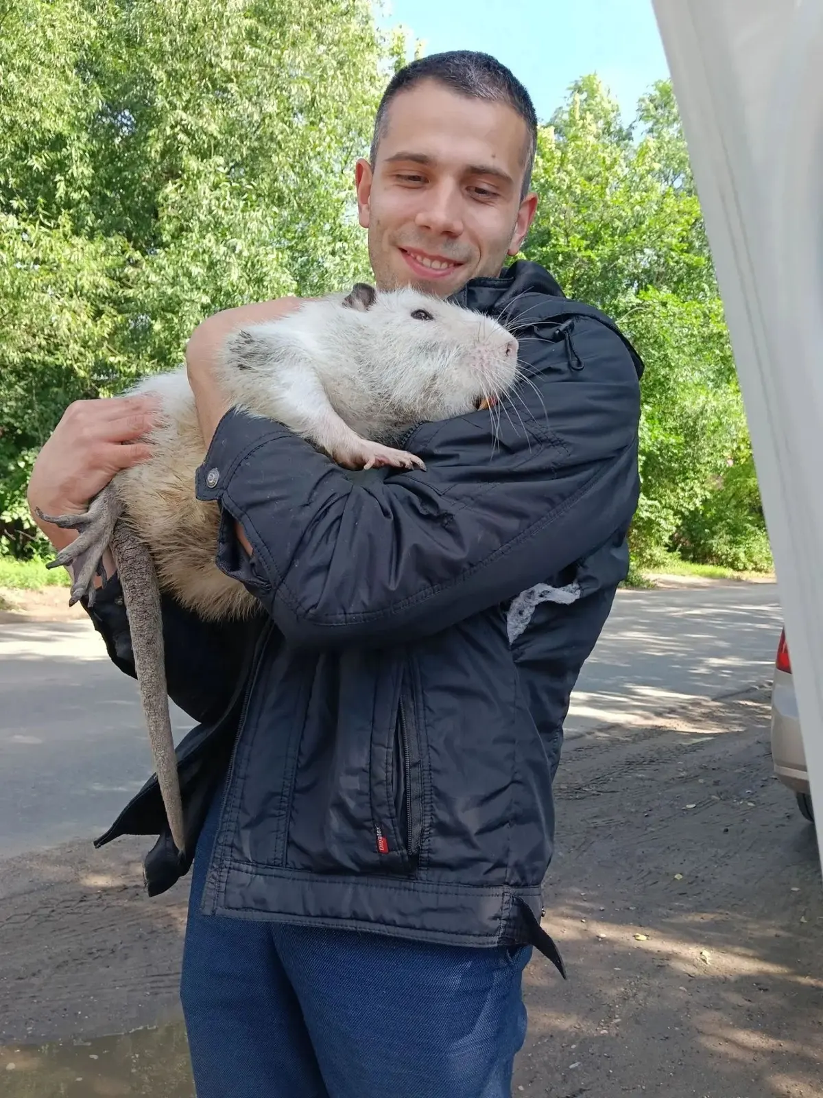 Белая нутрия сбежала в Иванове и нашлась благодаря бдительным горожанам — фото 2 из 2