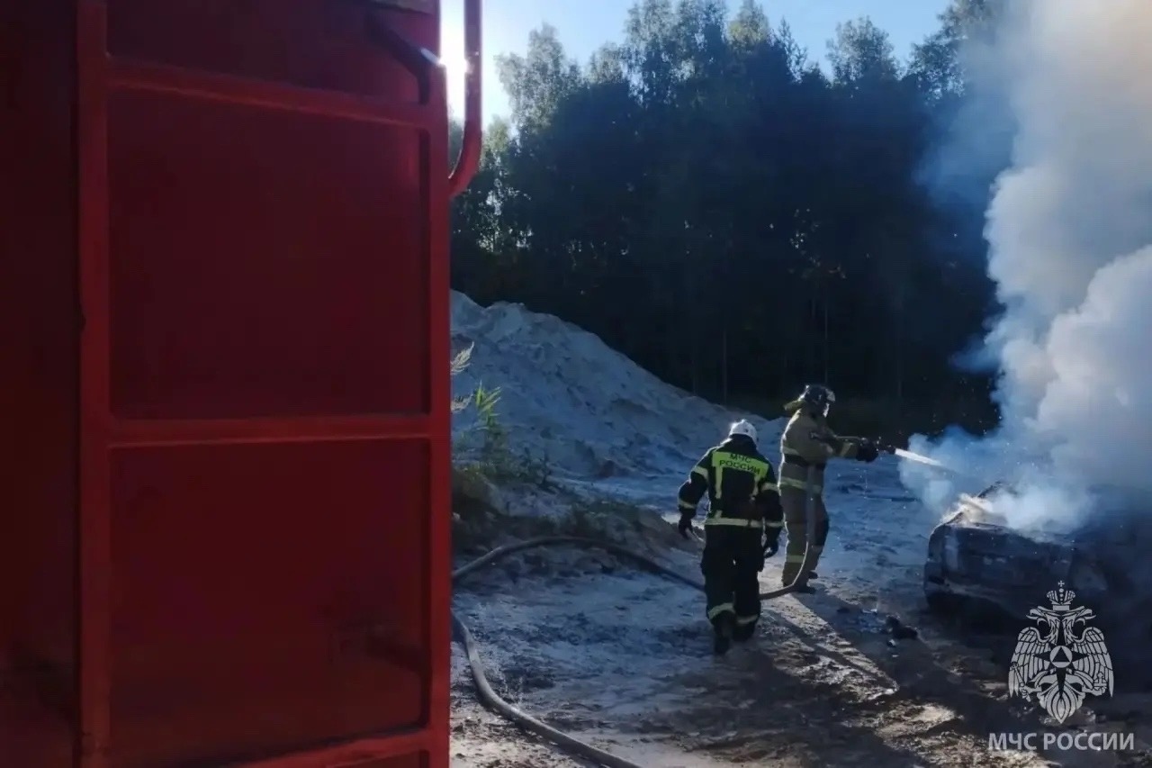 В Пестяковском районе сгорел автомобиль ВАЗ — фото 1 из 2