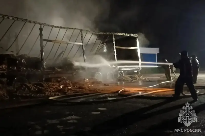 Ночной пожар в Палехском районе попал на видео. Подробности от МЧС — фото 3 из 3