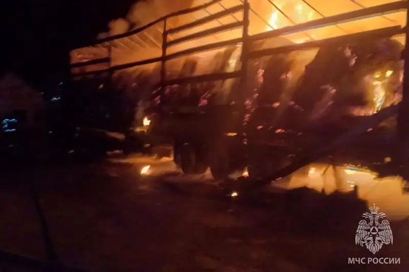 Ночной пожар в Палехском районе попал на видео. Подробности от МЧС — фото 1 из 3