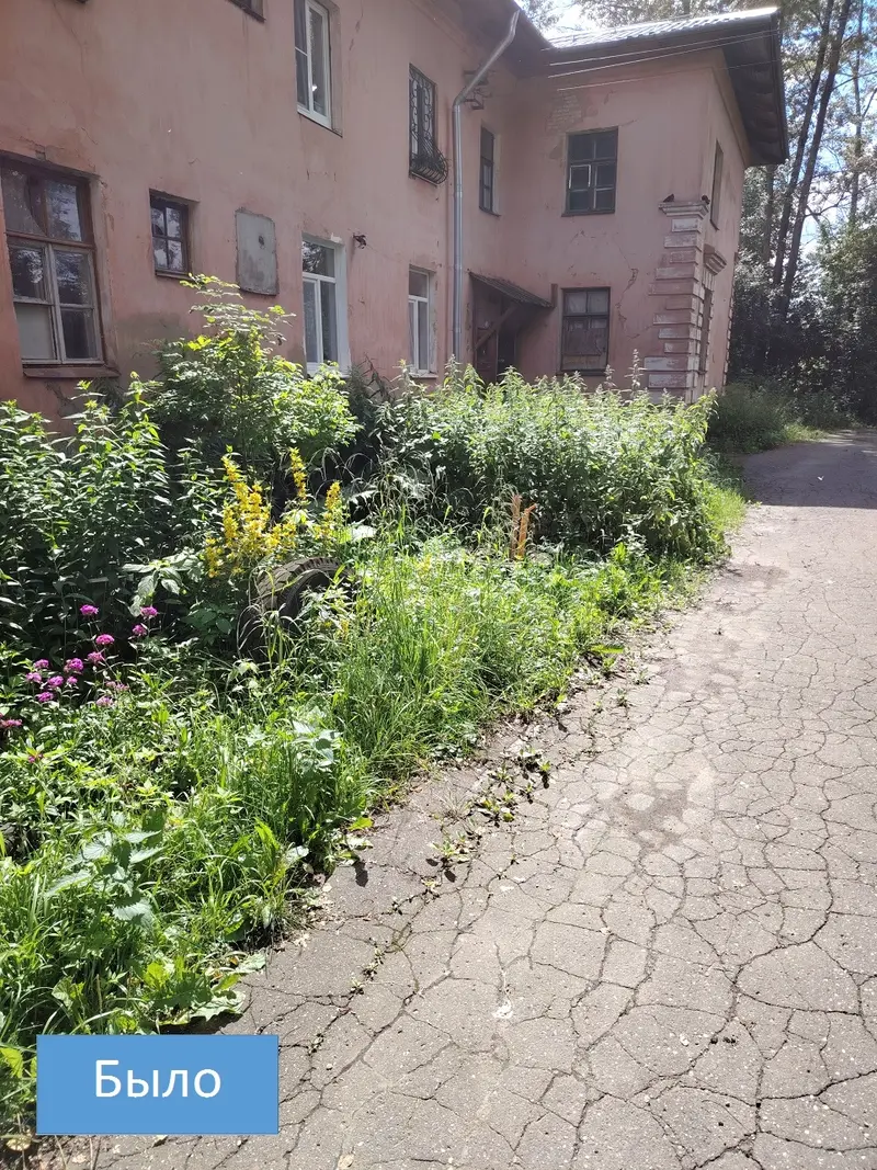 В Иванове на улице Поселковой навели порядок с травой — фото 5 из 6