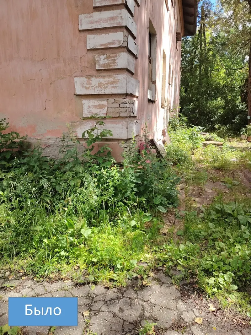 В Иванове на улице Поселковой навели порядок с травой — фото 3 из 6